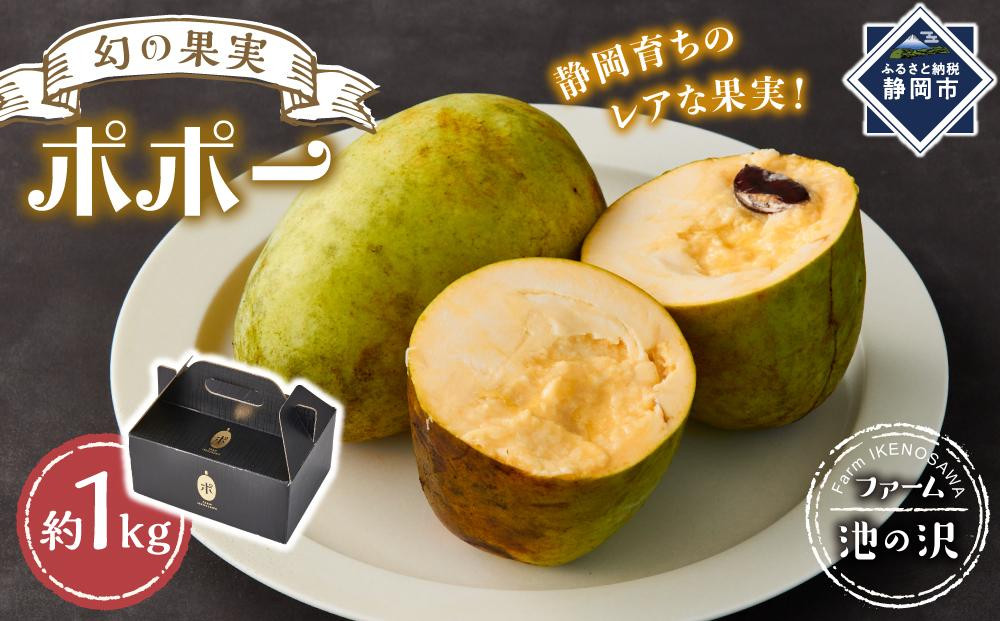【2026年9月中旬頃より発送 受付締切9月20日】ポポー 約1kg【受取日事前打合せ可能な方限定】【配送不可：離島】幻の果実 レア フルーツ ポポー 健康 美容 美肌 ファーム池の沢 静岡市◇