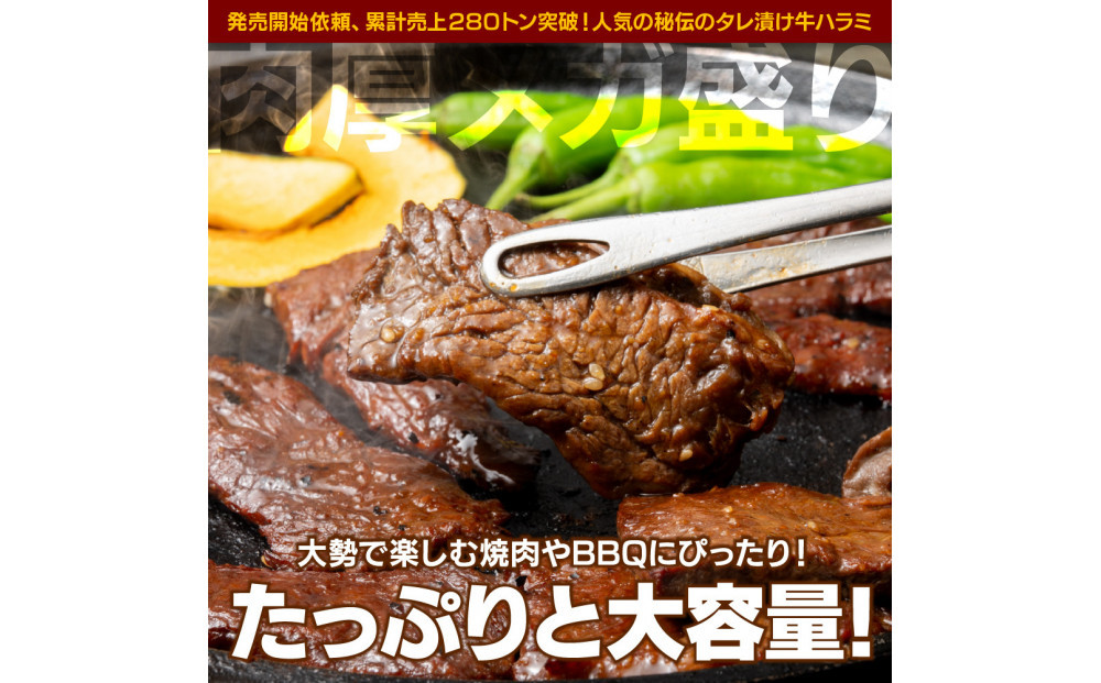 秘伝のタレ漬け牛ハラミ 1kg（500g×2パック）【配送不可：離島】小分けパック 大容量 真空冷凍 ハラミ サガリ にく やわらか 牛肉 肉 焼肉 コスパ 牛丼 小分け 手軽 ランキング ホルモン 味付き 数量限定