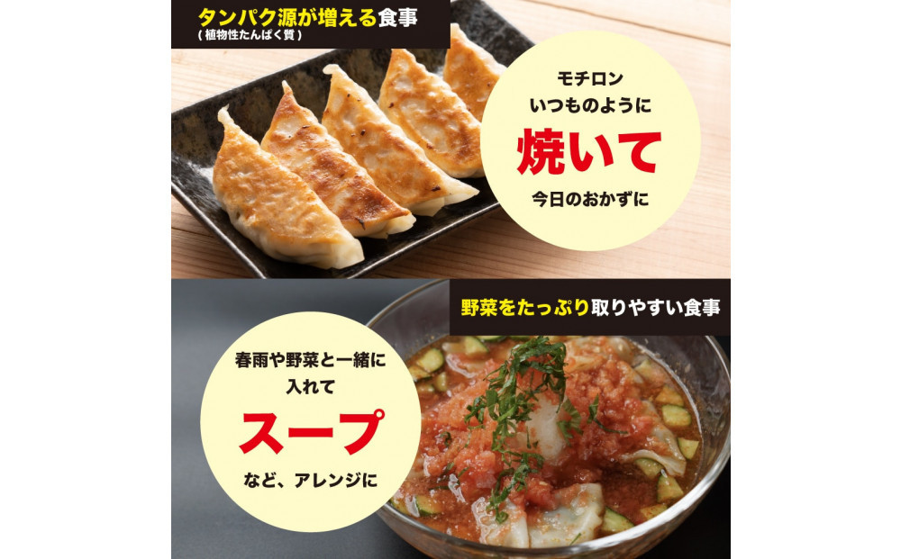 大豆パワー ソイプロギョーザ 300個(30個入×10袋)