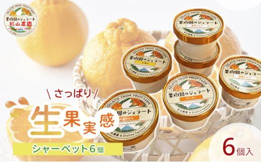 果樹園のジェラート 夏にさっぱりシャーベット6個セット 100ml×6個 冷凍 ギフト アイスクリーム シャーベット