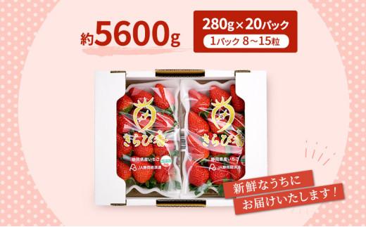 いちご キラッと輝くいちご きらぴ香 10箱 20パック 大粒 果物 イチゴ 苺 国産 ギフト 贈答品 お祝い プレゼント フルーツ くだもの 冷蔵