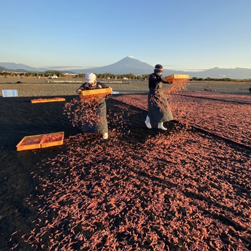 乾燥桜えび（化粧箱入）