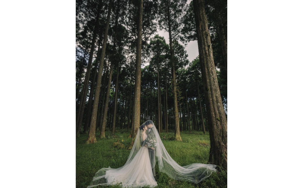 森ã®äžã®ããã©ãå©åŒã