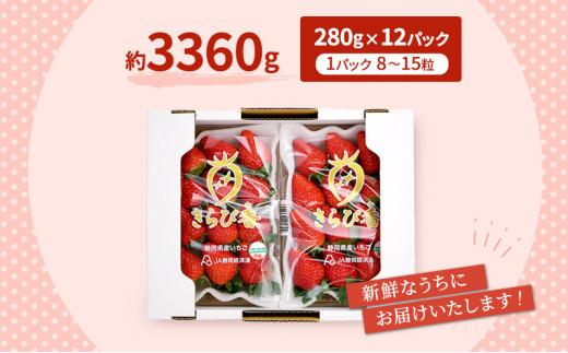 いちご キラっと輝くいちご きらぴ香 6箱 12パック 果物 イチゴ 苺 国産 ギフト 贈答品 お祝い プレゼント フルーツ くだもの