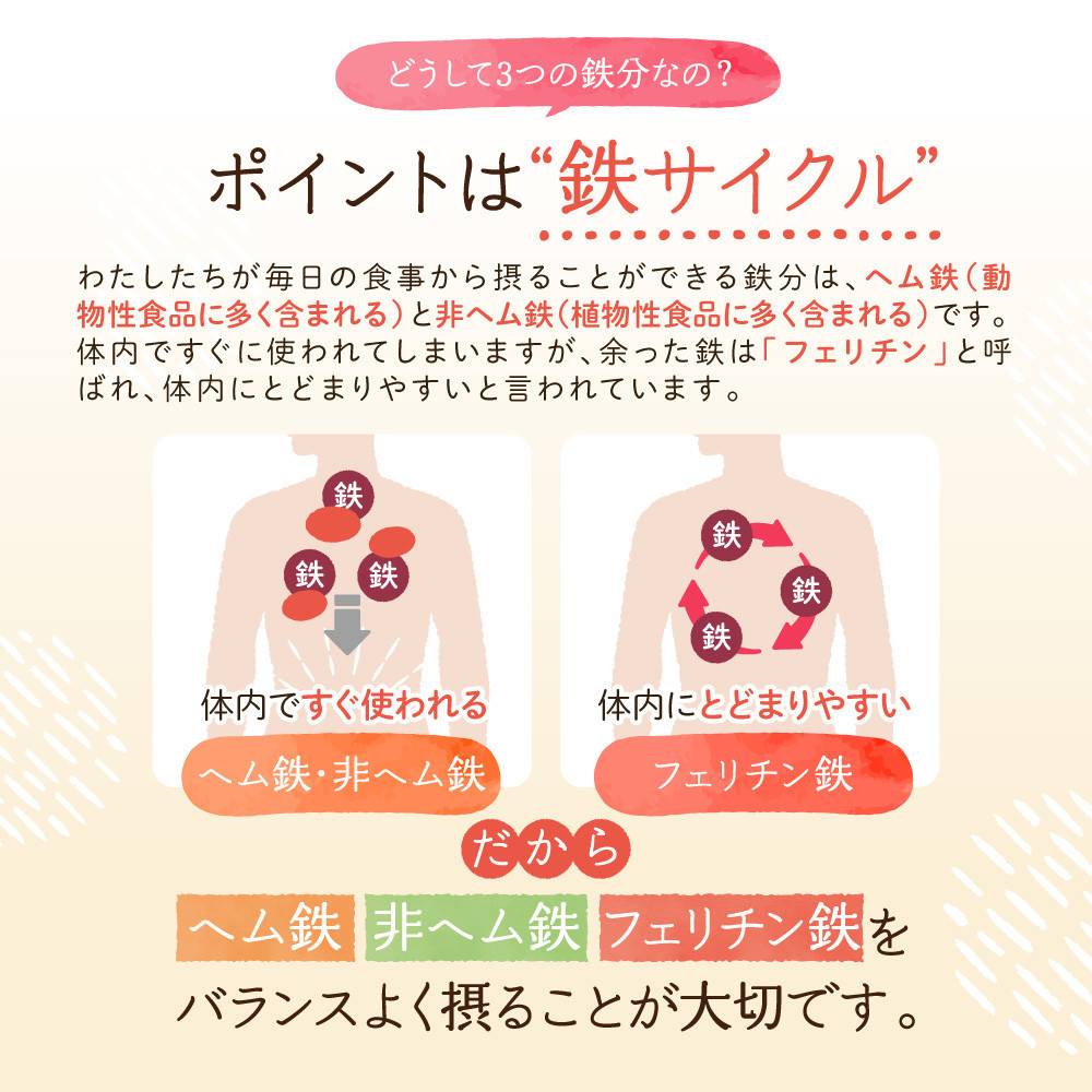 鉄分 サプリ ルミエル 鉄 10mg フェリチン鉄 ヘム鉄 葉酸 栄養機能食品 30粒入り 30日分