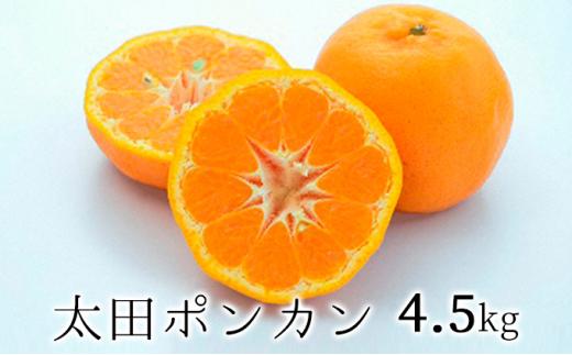 【2025年1月下旬より順次発送】静岡県清水生まれの美味しい柑橘・太田ポンカン 4.5kg