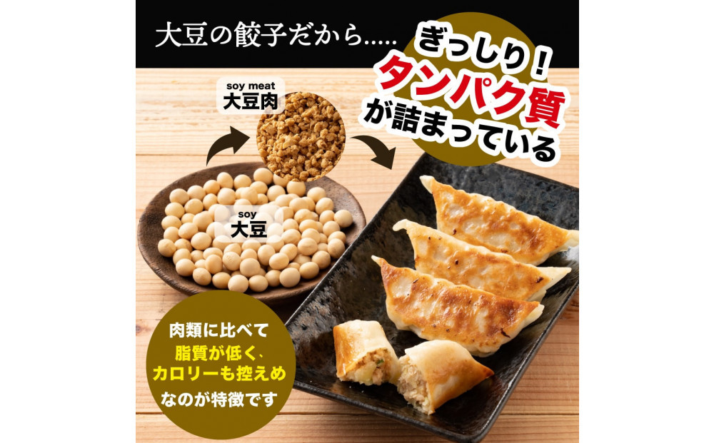 大豆パワー ソイプロギョーザ 60個(30個入×2袋)