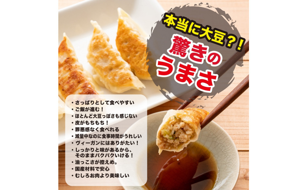 大豆パワー ソイプロギョーザ 300個(30個入×10袋)