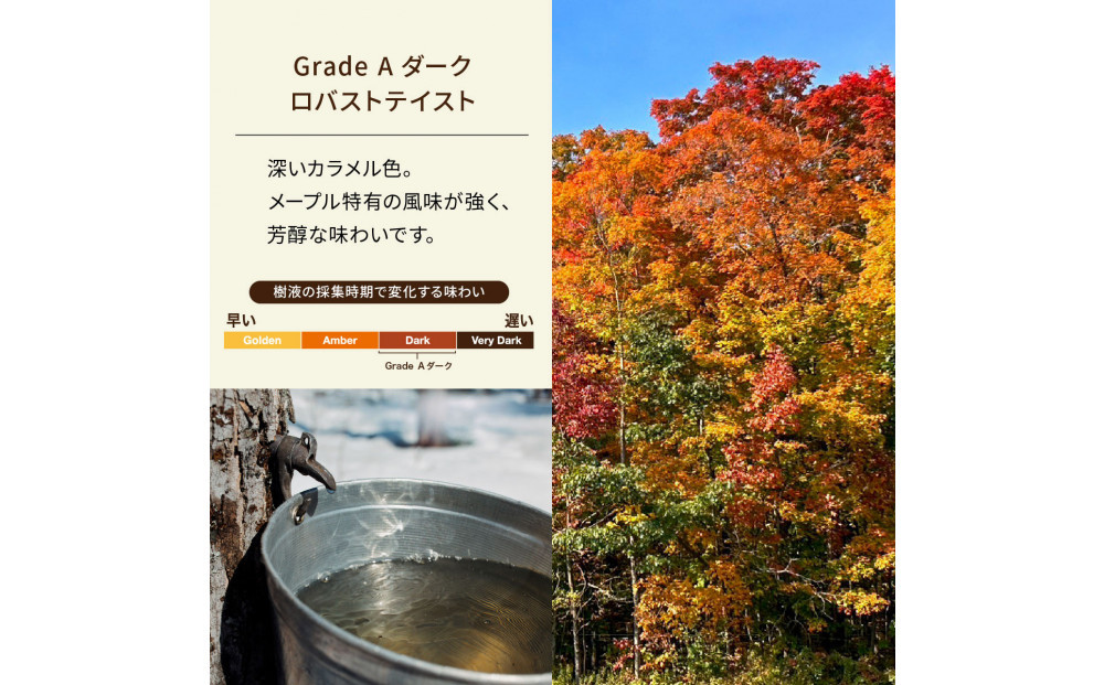 SNOOPY メープルシロップ