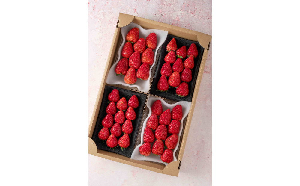 èºå±ãã¡ãã蟲åçŽéïŒãã®æäžçªããããã€ããŽ4ããã¯ã»ãããé
éäžå¯ïŒæ²çžçã»é¢å³¶ã