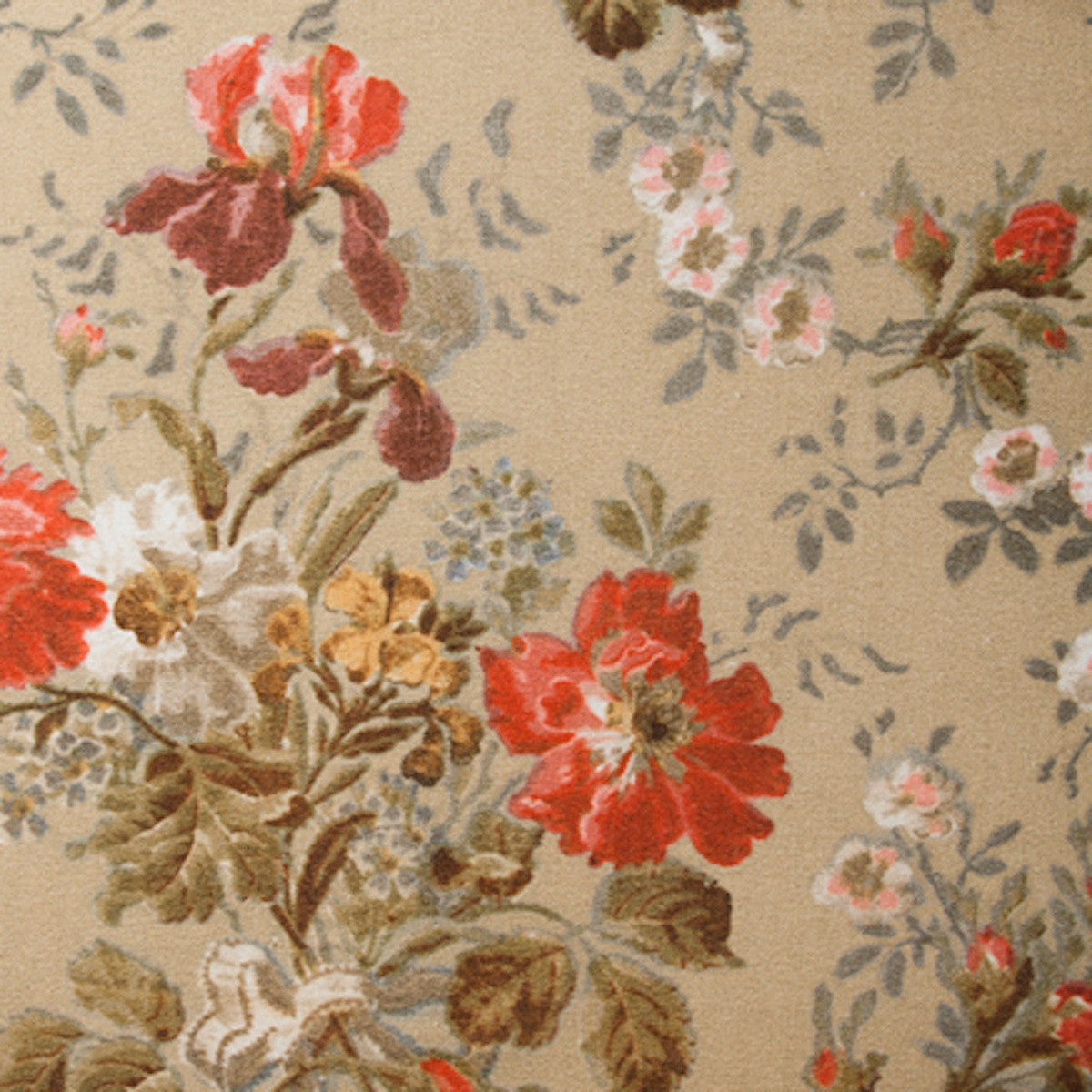 æŸæ°žå·¥æ¿ Continue ãã¬ããµãŒ ã¢ã«ã ãªãã£ã·ã£ã«éå®å ã¢ã³ãã£ãŒã¯ã«ã©ãŒ ã¯ã©ã·ã㯠ãšã¬ã¬ã³ã ã€ã³ããªã¢ ã¢ã³ãã£ãŒã¯èª¿å®¶å
· æšè£œ é¡å° ãã©ãŒ ããè ãã¢ã¡ã€ã¯ ã¡ã€ã¯ ã³ã¹ã¡ ã¢ã¯ã»ãµãªãŒ åçŽ ã«ã³ãã£ãŒãã¥ãé
éäžå¯ïŒæ²çžã»é¢å³¶ã