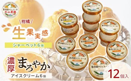 果樹園のジェラート 柑橘食べ比べ12個セット 100ml×12個 冷凍 ギフト アイスクリーム シャーベット