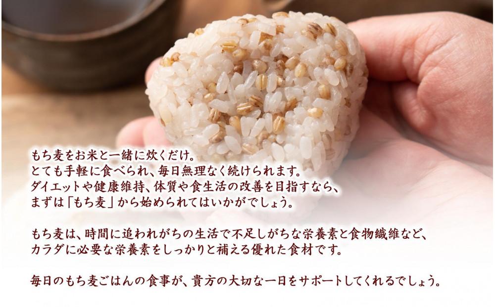 もち麦 4.0kg(400g×10袋)