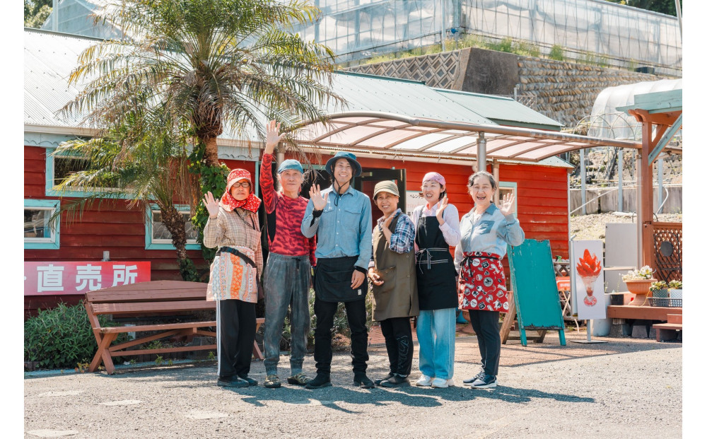 ã2026幎1æããé æ¬¡çºéãé岡ç¹ç£ã»ç³å£èºã2Lïœ4Lããã¯ã¹ çŽ280gÃ2ããã¯â
çŽ
ã»ã£ãº