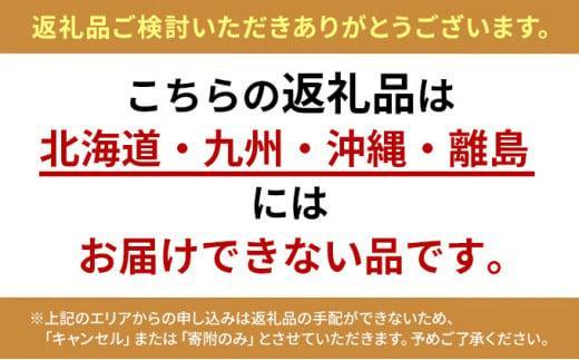 大粒きらぴ香いちご（450g×2パック）ギフトBOX入り なかじま園 大粒 果物 イチゴ 苺 ギフト 贈答品 お祝い 化粧箱 プレゼント 国産 フルーツ くだもの 冷蔵