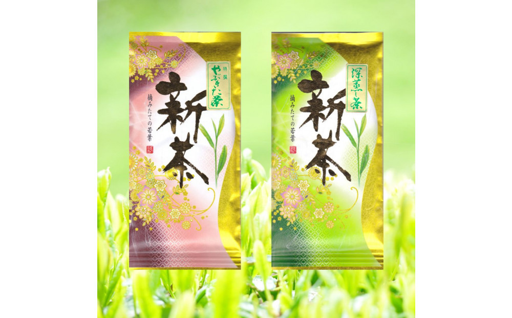 ＜大高茶園＞令和８年の新茶 お茶処静岡 特選やぶきた新茶と深蒸し新茶 飲み比べセット