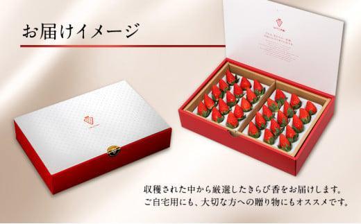 大粒きらぴ香いちご（450g×2パック）ギフトBOX入り なかじま園 大粒 果物 イチゴ 苺 ギフト 贈答品 お祝い 化粧箱 プレゼント 国産 フルーツ くだもの 冷蔵