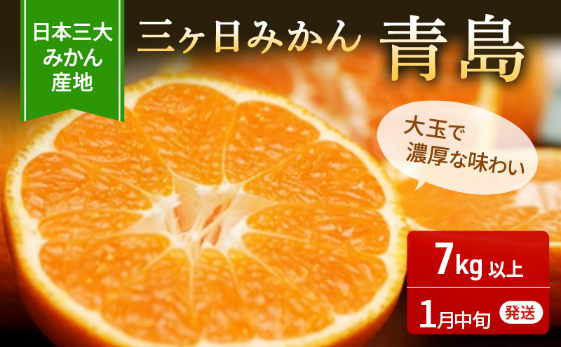 三ヶ日みかん 青島 7kg M～2L 優品 1月中旬頃より順次発送 みかん ミカン 蜜柑 青島みかん 三ヶ日 果物 くだもの フルーツ 旬の果物 旬のフルーツ 柑橘 柑橘類 糖度 静岡 静岡県 浜松市