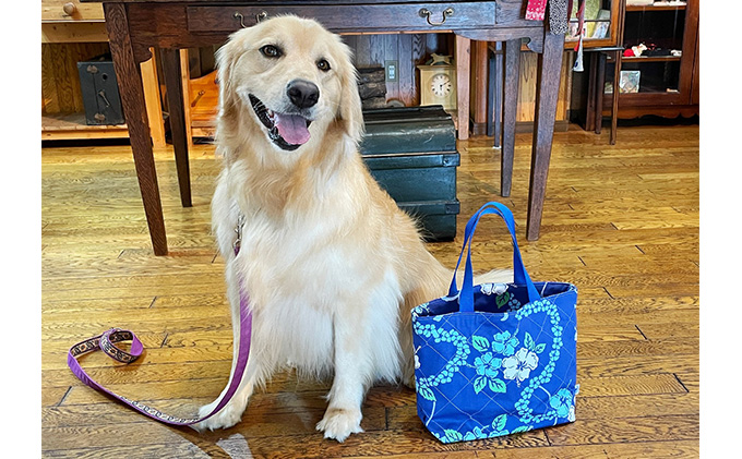 犬のお散歩バッグ ペット用防水バッグ ラリーズカンパニーオリジナルのアロハブルー