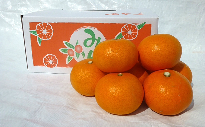 【2023年3月頃より順次発送】柑橘の女王『せとか美人』施設栽培 約3kg