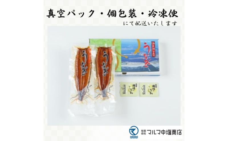うなぎ 浜名湖 国産 うなぎ蒲焼2本セット 合計260g うなぎ蒲焼 浜名湖産 国産うなぎ 惣菜 おかず ギフト 贈答 土用の丑の日 丑の日 蒲焼き 鰻 真空パック 冷凍 静岡 浜松市