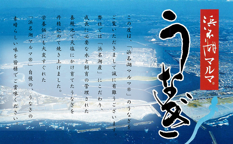 国産うなぎ　浜名湖産　細切りうなぎ蒲焼２袋＆うなぎ蒲焼４袋セット【配送不可：離島】