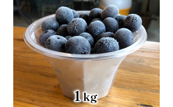 冷凍加工用ブルーベリー 1kg 【配送不可：離島】