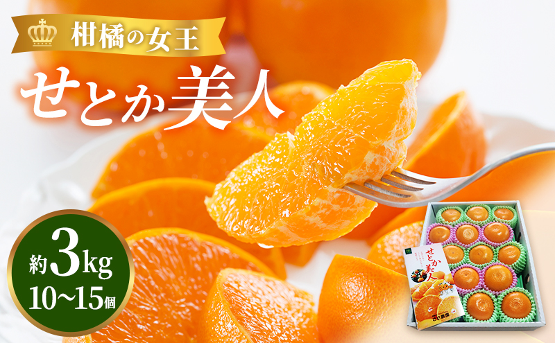 【2026年3月頃より順次発送】柑橘の女王『せとか美人』 果物類 みかん 柑橘類