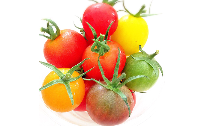 【2023年11月上旬より順次発送】トリアンジュトマト（ミニ）5色のミニトマトのジュエリーボックス