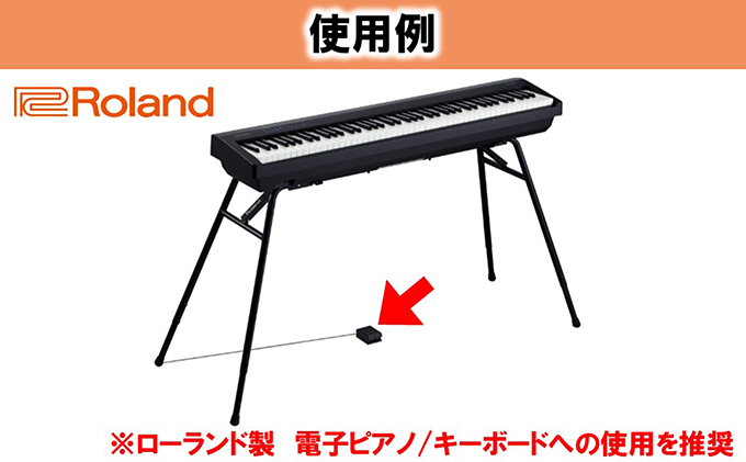 【Roland】電子ピアノ用ペダルスイッチ/DP-2【配送不可：離島】 雑貨 日用品 