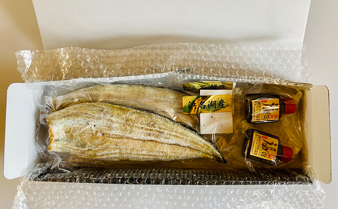 ふるさと納税 うなぎ 浜名湖産 鰻の 白焼き 約140g × 2匹 国産 静岡県