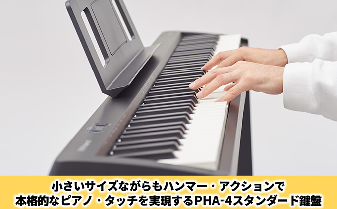 Roland ローランド 電子ピアノ FP-10 - 鍵盤楽器