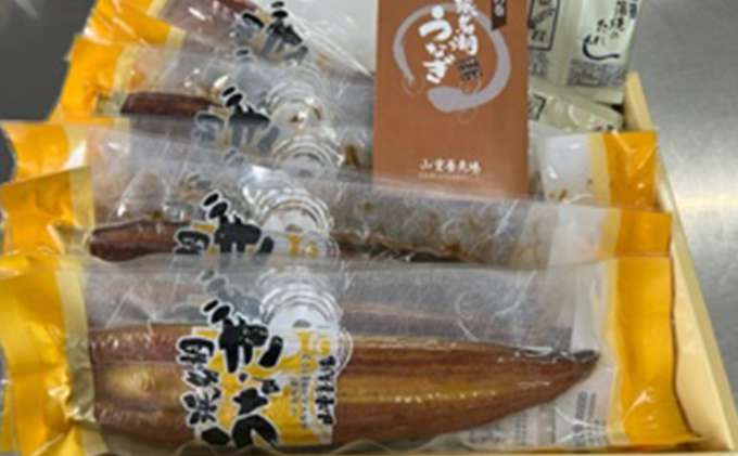 【2024年8月より順次発送】浜名湖産鰻　蒲焼 約160g×10本 セット 土用の丑の日 丑の日