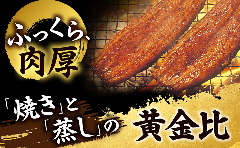うなぎ 浜松 浜名湖産 鰻 蒲焼 約100g× 2尾 たれ 10ml×2 小分け セット 土用の丑の日 丑の日 国産うなぎ 浜松うなぎ 浜名湖うなぎ 国産 蒲焼き 夏バテ防止 浜名湖 産地直送 冷凍 冷凍配送 静岡 静岡県 浜松市