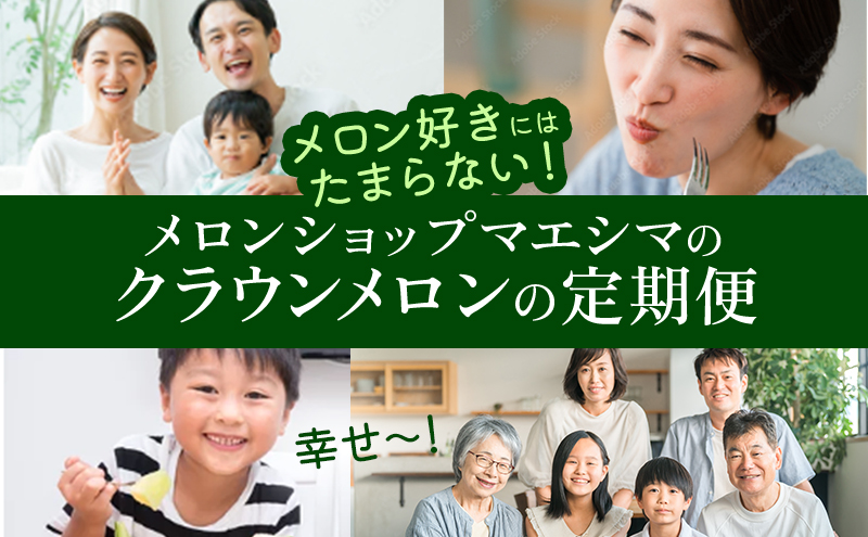 【6ヶ月定期便】クラウンメロン 白等級 1.3kg前後 1玉入り 果物類 メロン青肉 フルーツ 果物 6回 半年 