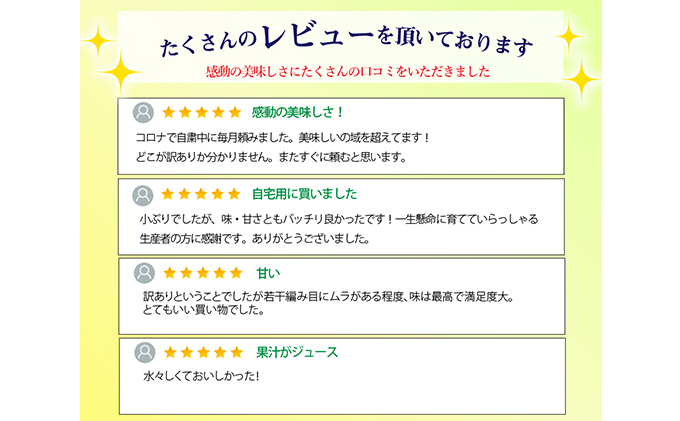 【2024年2月以降順次発送】ワケありメロン2玉入り（クラウンメロン）