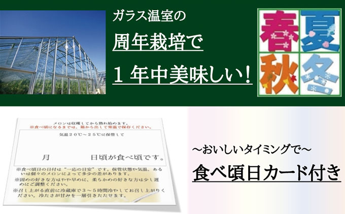 クラウンメロン白等級1玉入【偶数月6回定期便】【配送不可：離島】