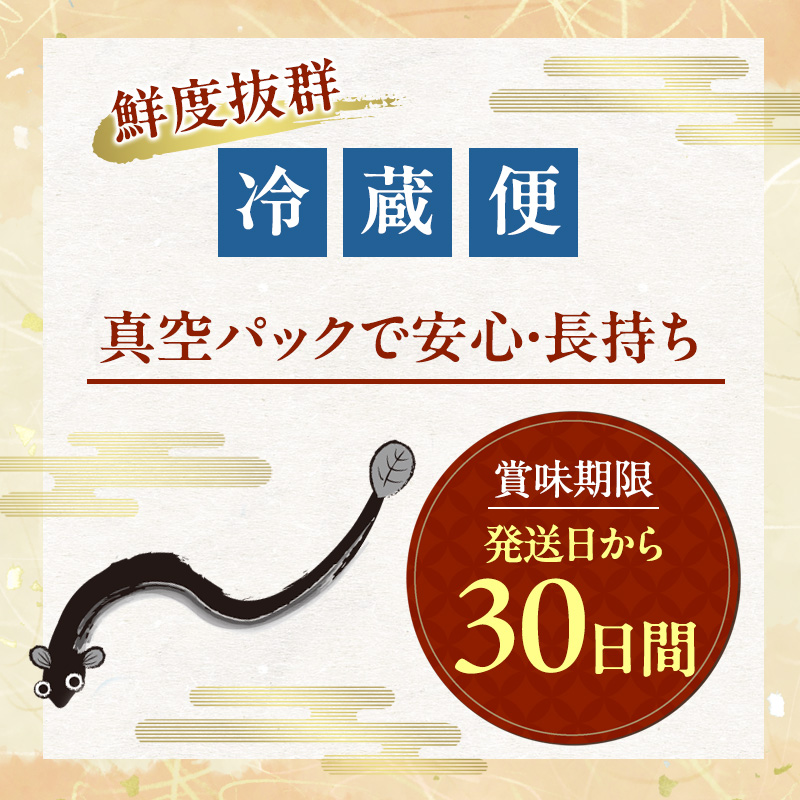 うなぎ 浜名湖 真空長蒲焼 詰め合わせ 4尾 約150g×4 国産 【配送不可：離島】 土用の丑の日 丑の日