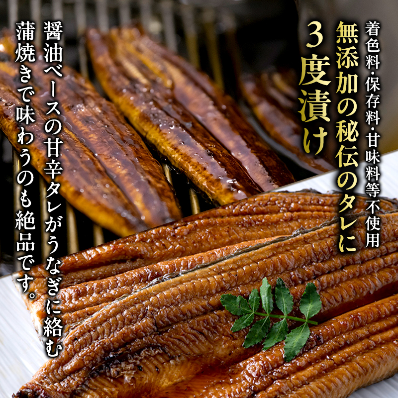 うなぎ 浜名湖 国産 うなぎ蒲焼 ＆ 白焼 計8尾 小分け 詰め合わせ 鰻 蒲焼 白焼き 食べ比べ 浜名湖うなぎ 浜名湖産 国産うなぎ 惣菜 おかず ギフト 贈答 贈答品 土用の丑の日 丑の日 真空パック 冷蔵 冷蔵配送 静岡 静岡県 浜松市 配送不可：離島