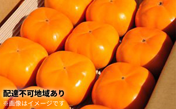 12月20日から順次出荷　鮮度保持袋入り 浜松次郎柿『長寿郎』10玉～16玉入り