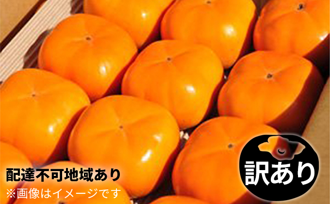 11月中に順次出荷　家庭用わけあり  浜松次郎柿『長寿郎』20玉～32玉入り