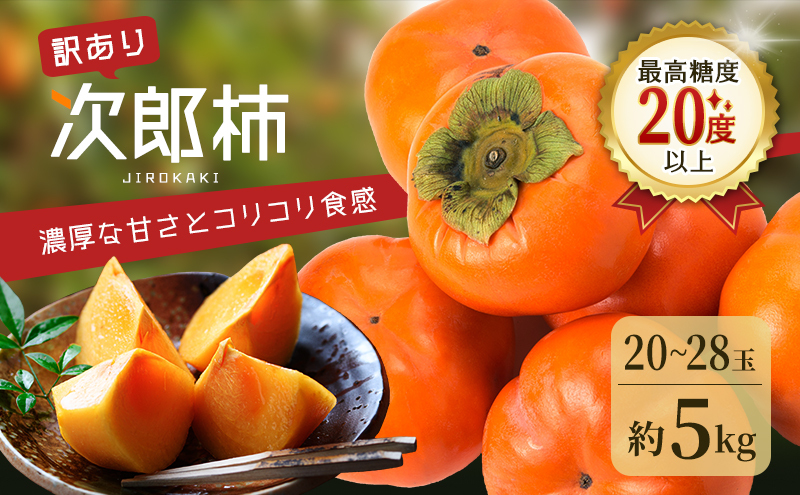 訳あり 長生き次郎柿「長寿郎（ちょうじゅろう）」2L～Mサイズ 5kg 20～28玉入り 11月発送 柿 かき 果物 くだもの フルーツ 旬の果物 次郎柿 静岡 浜松市【配送不可：離島】
