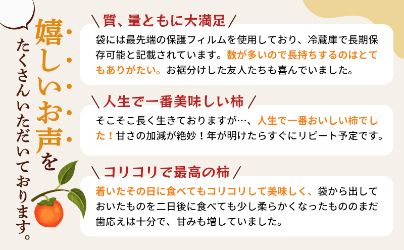 先行予約 訳あり 次郎柿 長寿郎 3L～M 20～32玉 家庭用 11月中に順次発送 果物 くだもの フルーツ 旬の果物 旬のフルーツ 柿 かき 訳アリ 静岡 静岡県 浜松市 【配送不可：離島】