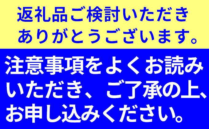 テルの次郎柿 2L 1.5kg 6玉 贈答用 11月中旬より順次発送 柿 果物 フルーツ 旬の果物 旬のフルーツ 秋の味覚 次郎柿 ギフト 贈り物 プレゼント デザート 個包装 静岡 静岡県 浜松市 【配送不可：離島】