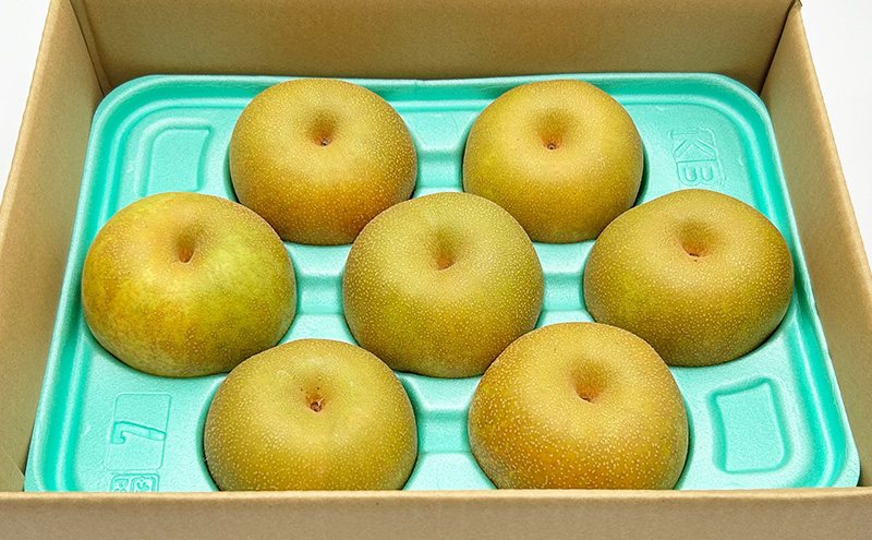 【8月下旬より順次配送】朝採り！品種おまかせ完熟露地梨3kg【配送不可：離島】 ナシ 果物 フルーツ 