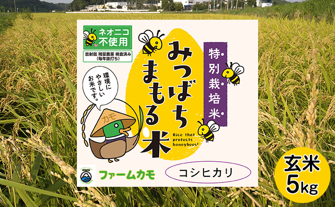 【2025年10月上旬より順次発送】雄踏ファームカモ産「特選みつばちまもる米」玄米5kg コシヒカリ お米 コメ ご飯 ライス 特別栽培米 検査米 1等米 甘い おすすめ おにぎり おむすび 静岡 浜松