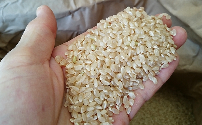 【2024年10月より順次発送】雄踏ファームカモ産　玄米「特選みつばちまもる米」5kg コシヒカリ