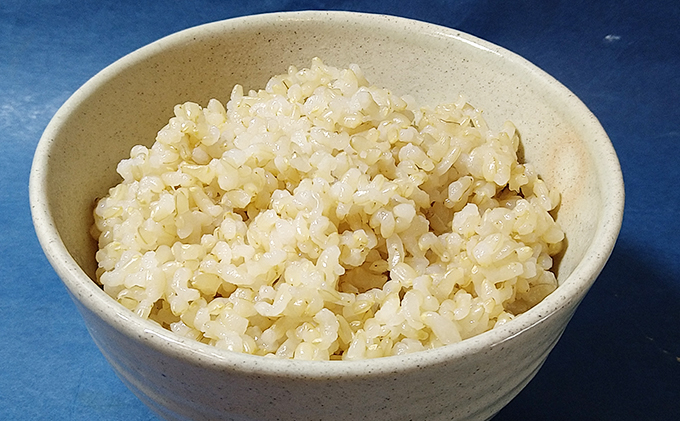 【2025年10月上旬より順次発送】雄踏ファームカモ産「特選みつばちまもる米」玄米5kg コシヒカリ お米 コメ ご飯 ライス 特別栽培米 検査米 1等米 甘い おすすめ おにぎり おむすび 静岡 浜松