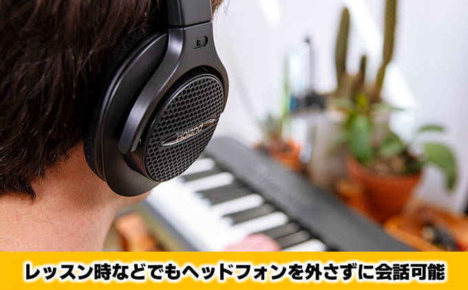 Roland ヘッドホン RH-A7【配送不可：離島】