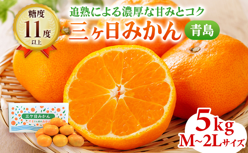 青島みかん M～2Lサイズ サイズ混在 5kg 三ヶ日みかん 果物 くだもの フルーツ 旬の果物 旬のフルーツ みかん 蜜柑 ミカン 三ヶ日 青島 柑橘 柑橘類 静岡 静岡県 浜松市